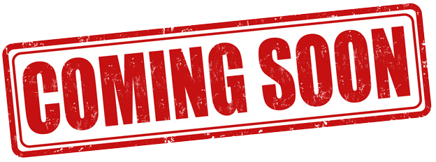 Nitrile Gloves Large (Case of 1000)